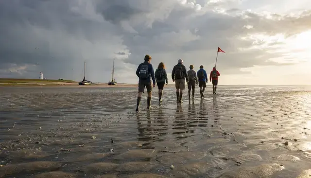 Foto utama kampanye jalan kaki di Laut Wadden, dibuat dengan GPT Image 2